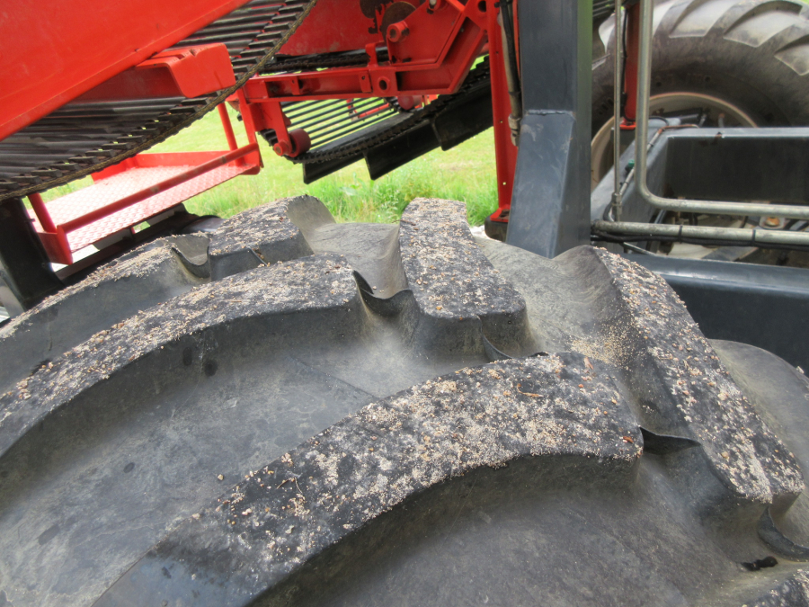 5287 Dewulf GBC carrot harvester with bunker