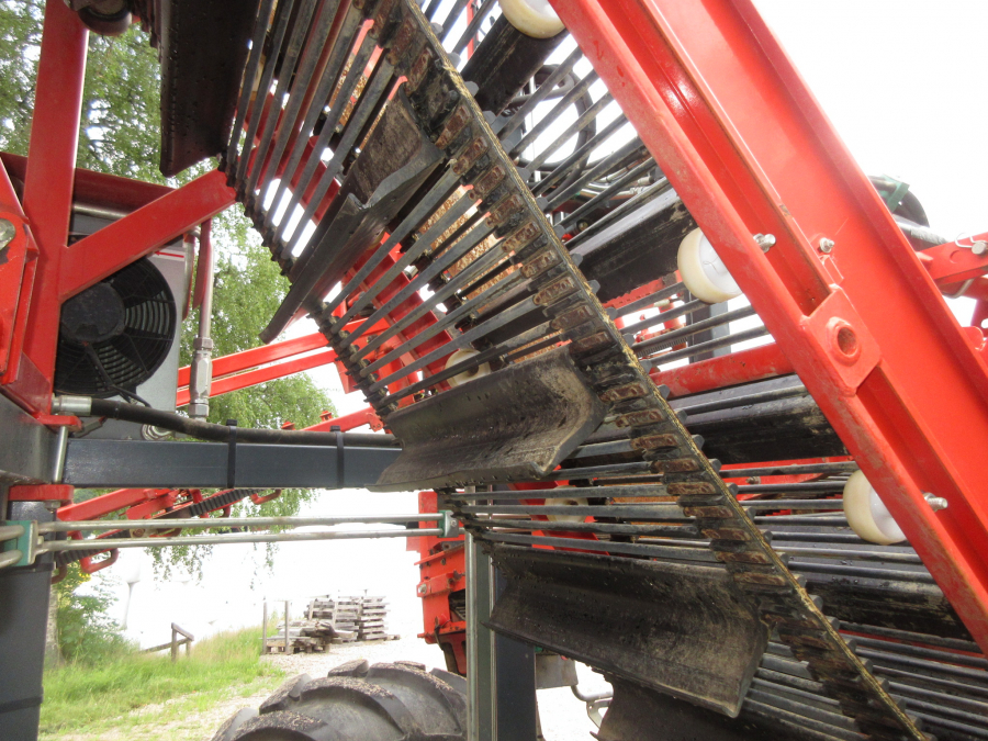 5287 Dewulf GBC carrot harvester with bunker