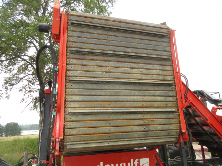 5287 Dewulf GBC carrot harvester with bunker