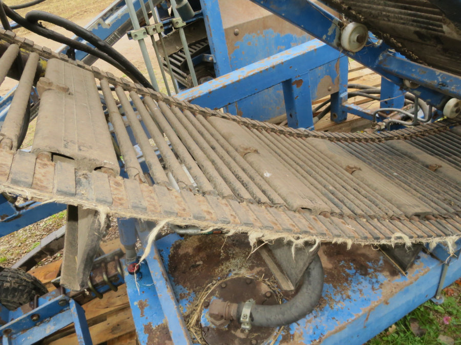 5290 Asa-Lift carrot harvester with elevator