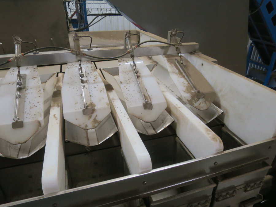 5324 EMVE BE6000 paper bagger with Newtec 2009XBG weigher