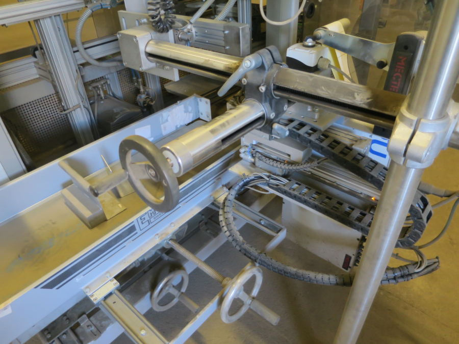 5324 EMVE BE6000 paper bagger with Newtec 2009XBG weigher