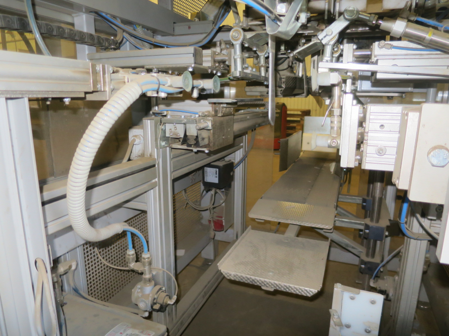 5324 EMVE BE6000 paper bagger with Newtec 2009XBG weigher