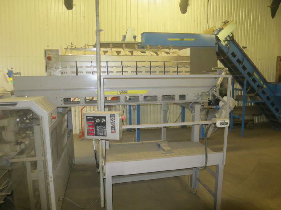 5324 EMVE BE6000 paper bagger with Newtec 2009XBG weigher