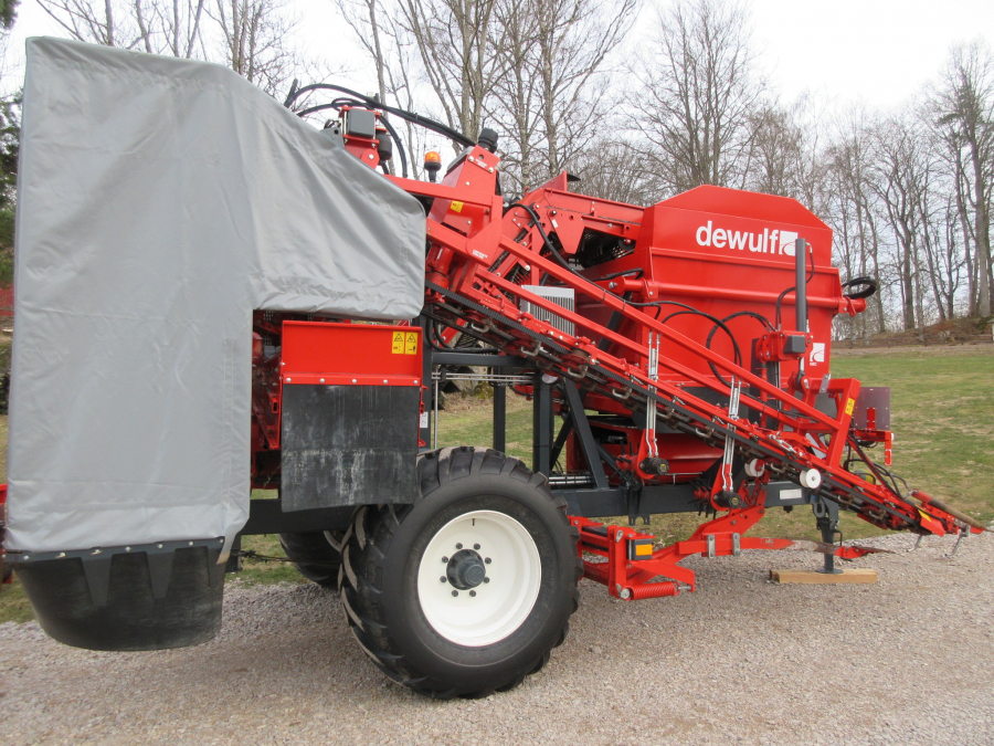 5338 Dewulf GBC carrot harvester with bunker