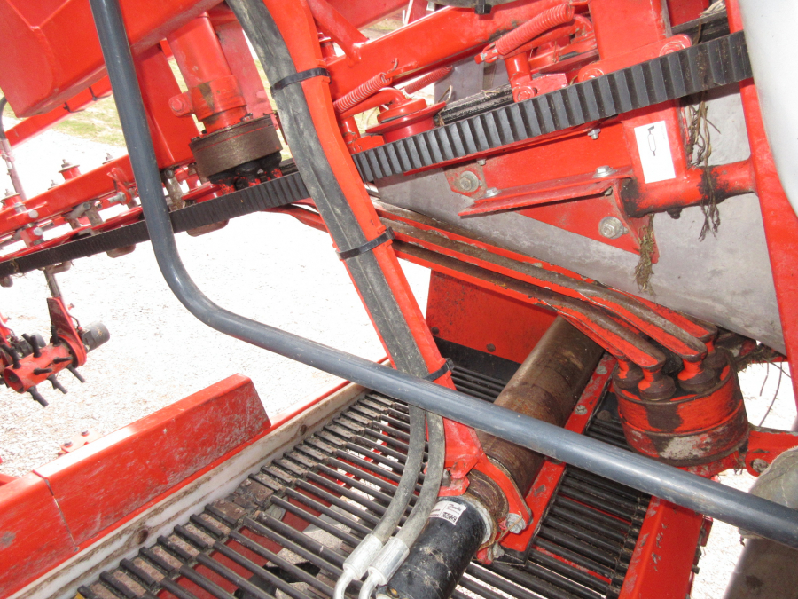 5338 Dewulf GBC carrot harvester with bunker