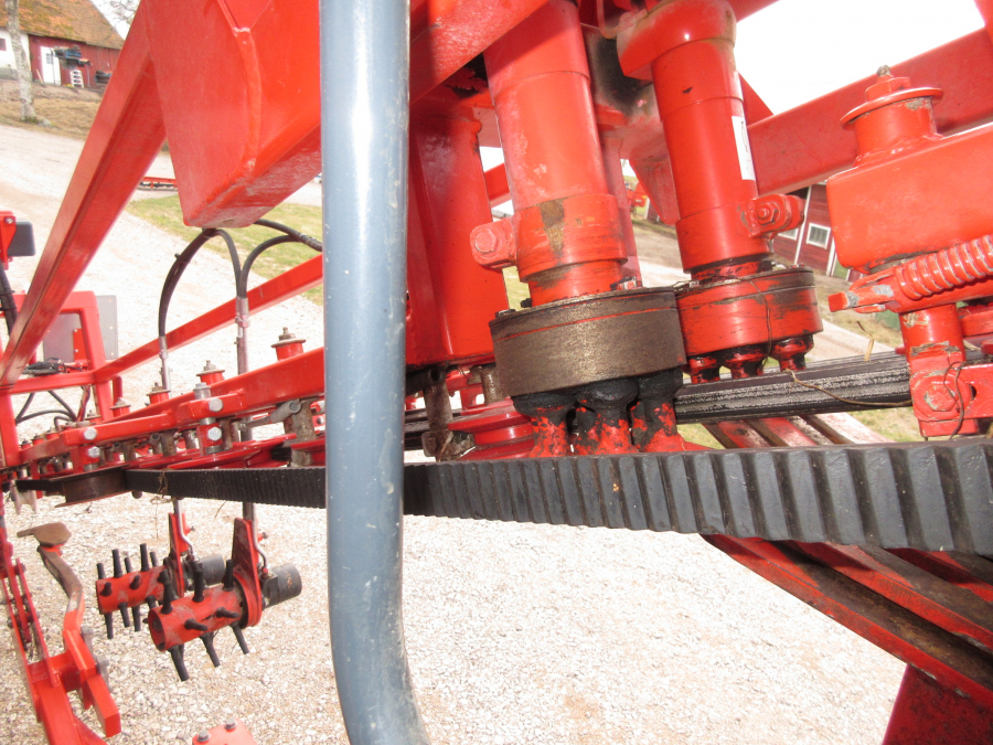 5338 Dewulf GBC carrot harvester with bunker