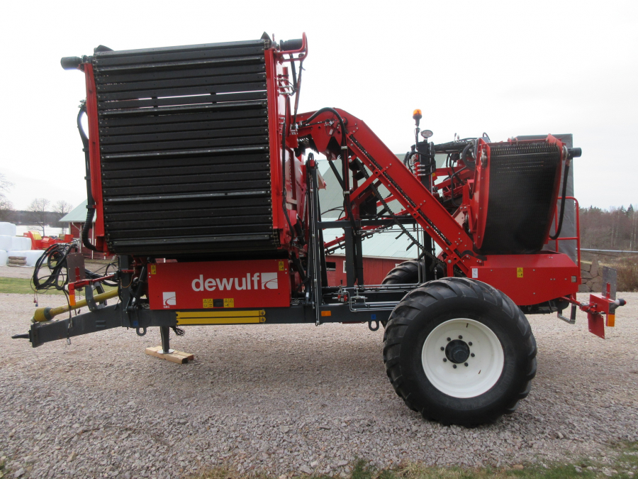 5338 Dewulf GBC carrot harvester with bunker