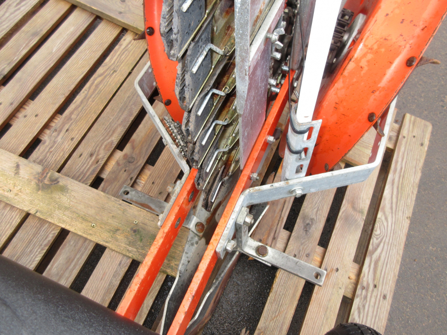 5385 Checchi & Magli Fox leek transplanter