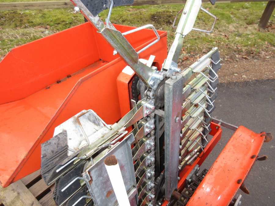 5385 Checchi & Magli Fox leek transplanter