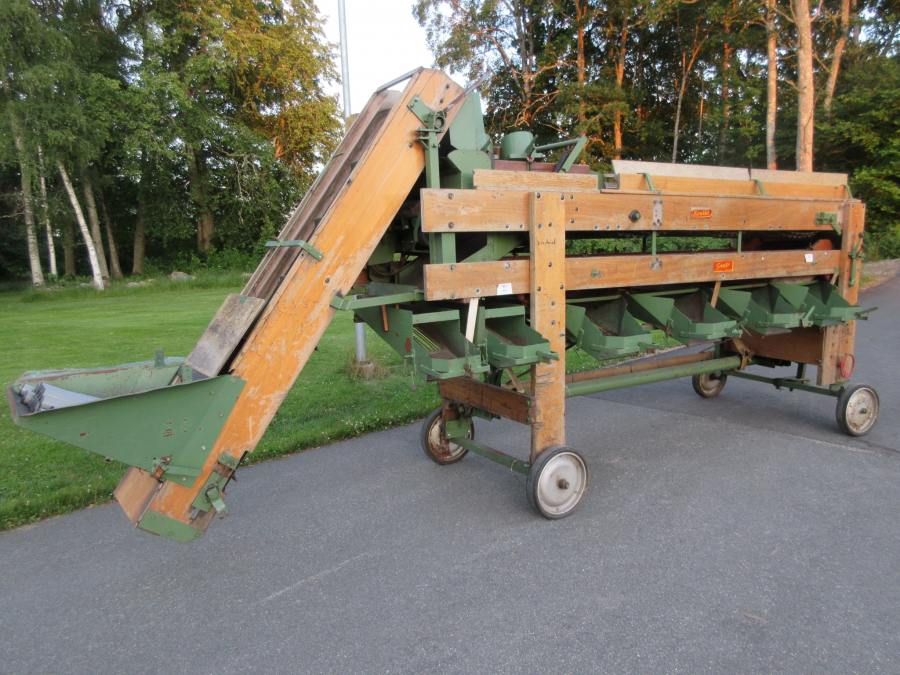 5426 Schouten onion sorter combi with inspection etc
