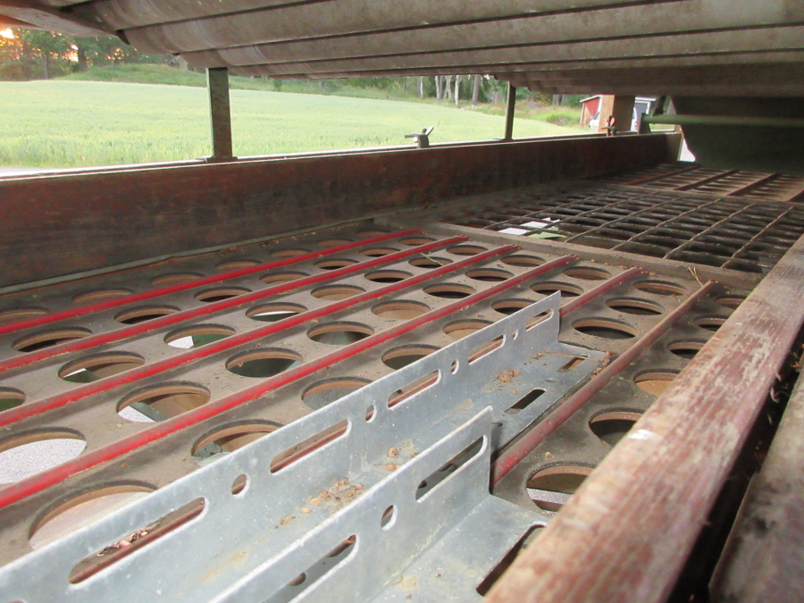 5426 Schouten onion sorter combi with inspection etc
