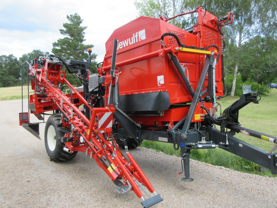 5481 Dewulf GBC carrot harvester with bunker