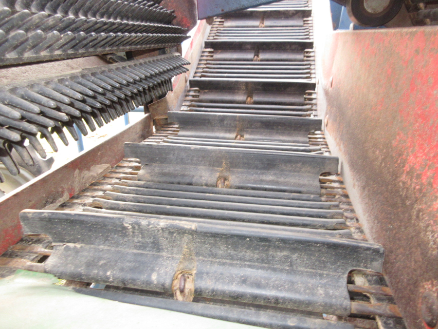 5501 Asa-Lift carrot harvester T90B with bunker