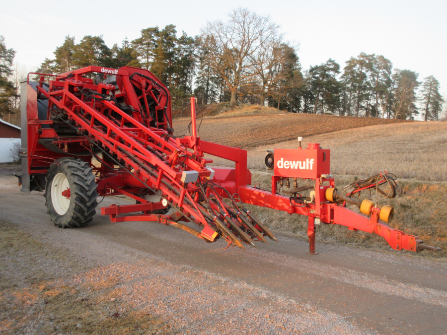 5528 Dewulf GKII carrot harvester 2 row with elevator