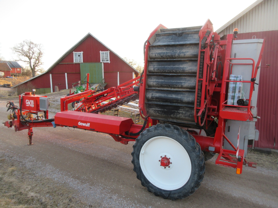5528 Dewulf GKII carrot harvester 2 row with elevator