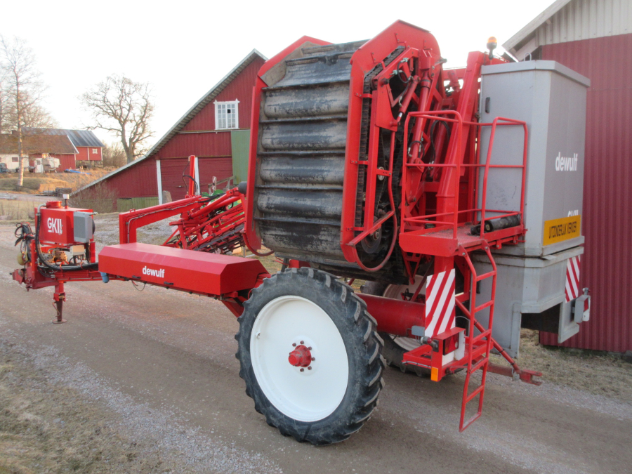 5528 Dewulf GKII carrot harvester 2 row with elevator