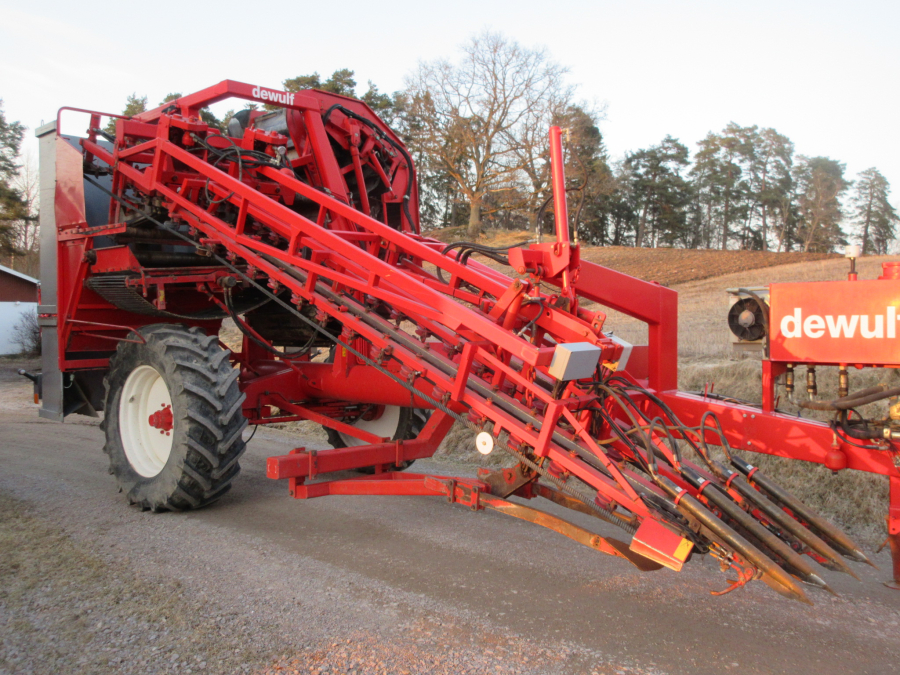 5528 Dewulf GKII carrot harvester 2 row with elevator