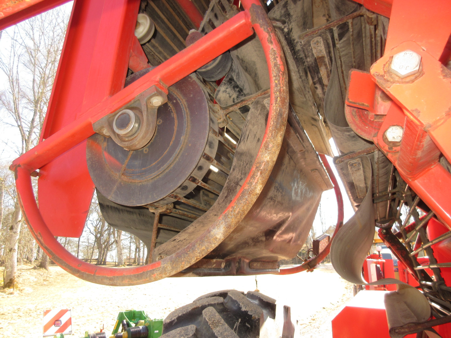 5528 Dewulf GKII carrot harvester 2 row with elevator