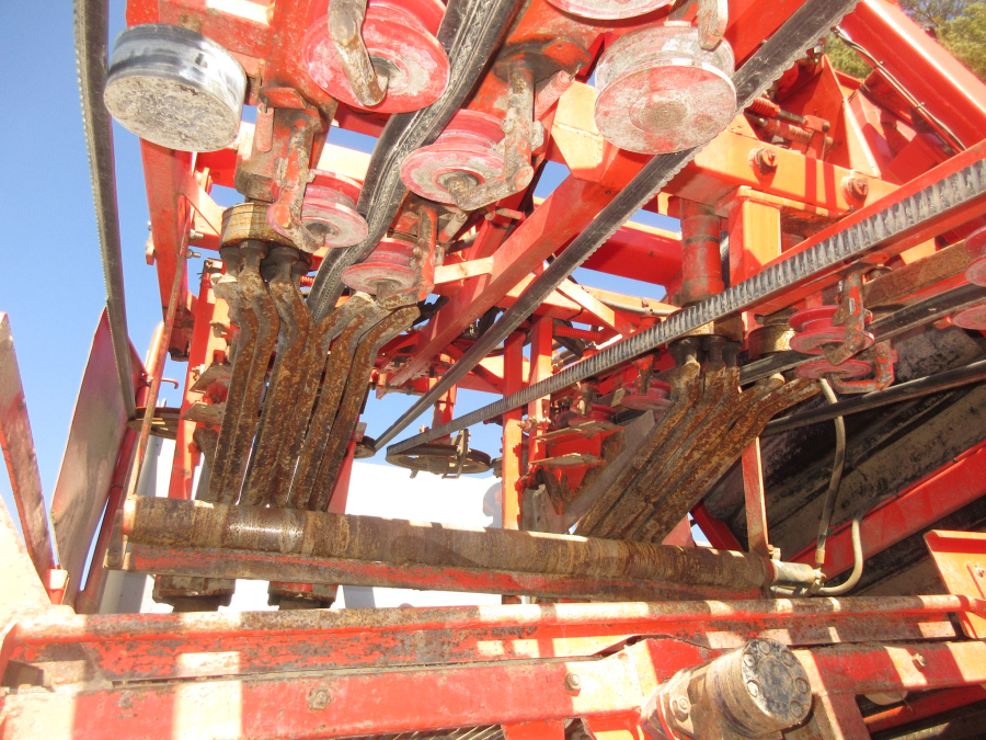 5528 Dewulf GKII carrot harvester 2 row with elevator