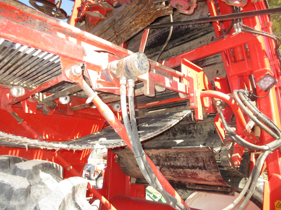 5528 Dewulf GKII carrot harvester 2 row with elevator