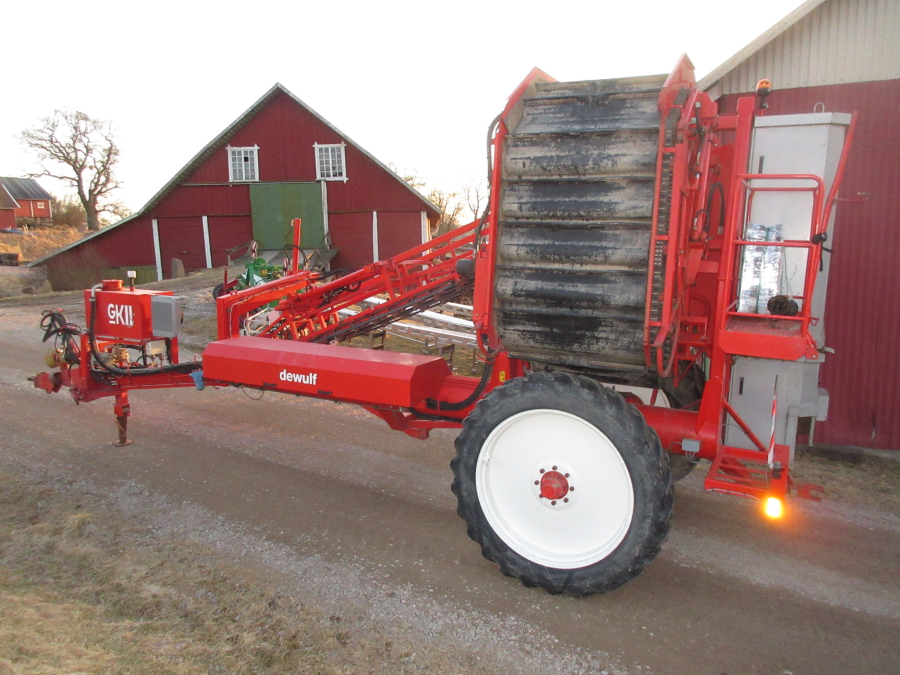 5528 Dewulf GKII carrot harvester 2 row with elevator