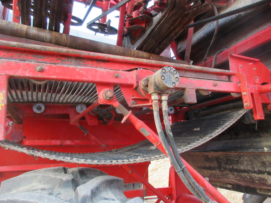 5528 Dewulf GKII carrot harvester 2 row with elevator