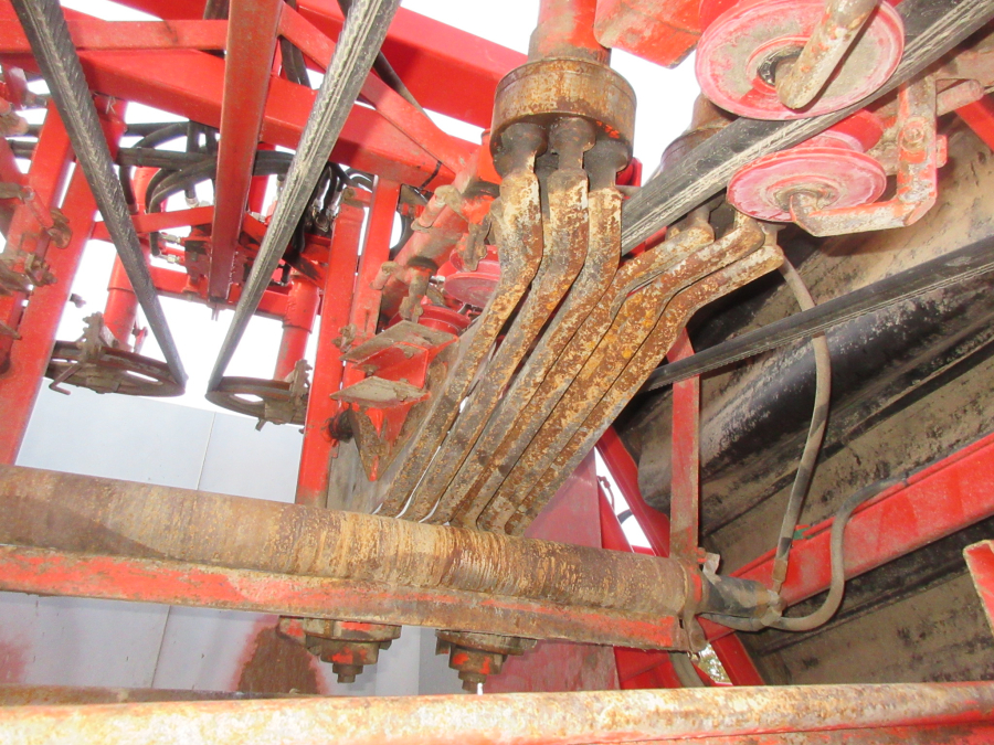 5528 Dewulf GKII carrot harvester 2 row with elevator