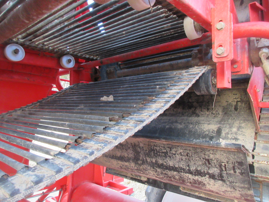 5528 Dewulf GKII carrot harvester 2 row with elevator