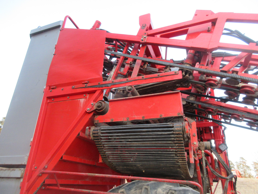 5528 Dewulf GKII carrot harvester 2 row with elevator