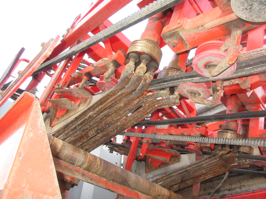 5528 Dewulf GKII carrot harvester 2 row with elevator