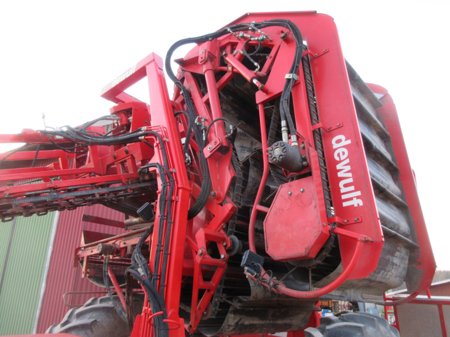 5528 Dewulf GKII carrot harvester 2 row with elevator