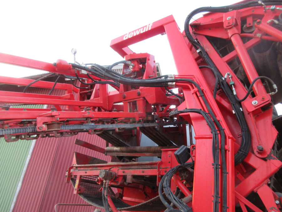 5528 Dewulf GKII carrot harvester 2 row with elevator