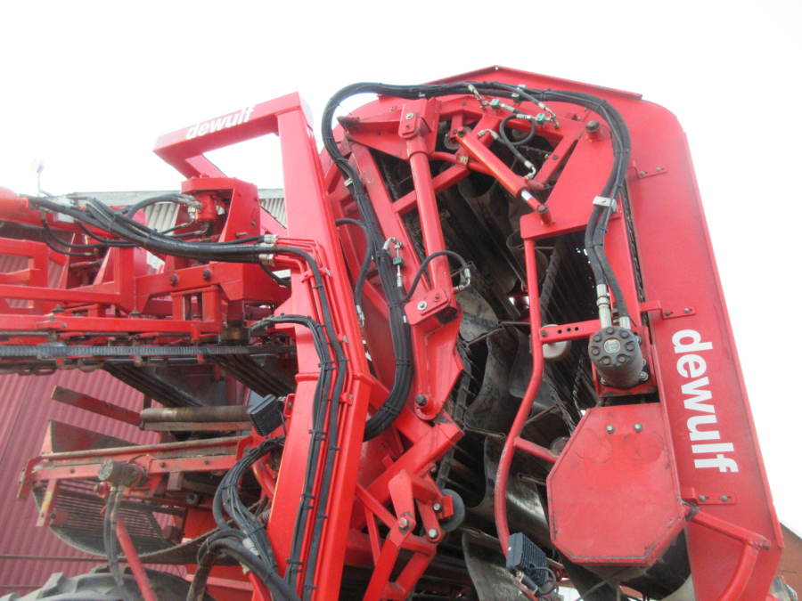 5528 Dewulf GKII carrot harvester 2 row with elevator