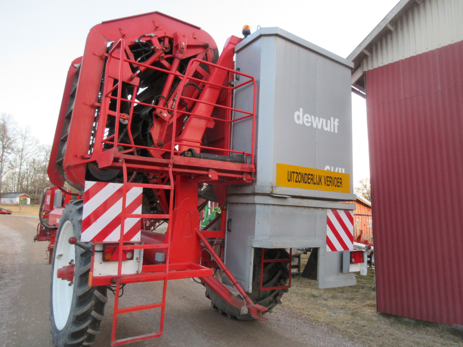 5528 Dewulf GKII carrot harvester 2 row with elevator