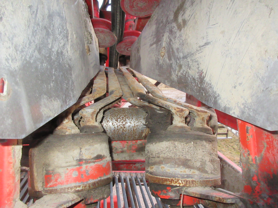 5528 Dewulf GKII carrot harvester 2 row with elevator