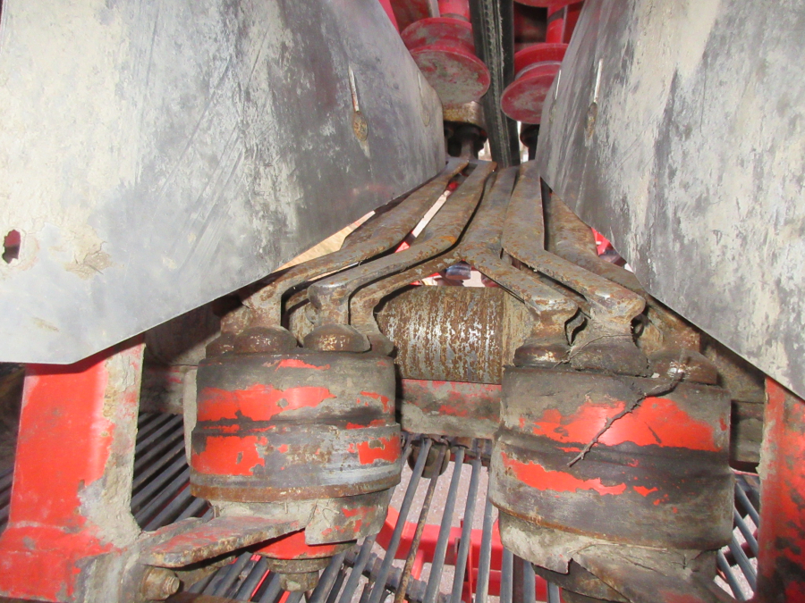 5528 Dewulf GKII carrot harvester 2 row with elevator