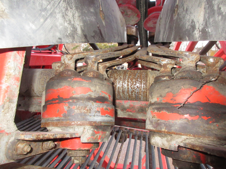 5528 Dewulf GKII carrot harvester 2 row with elevator