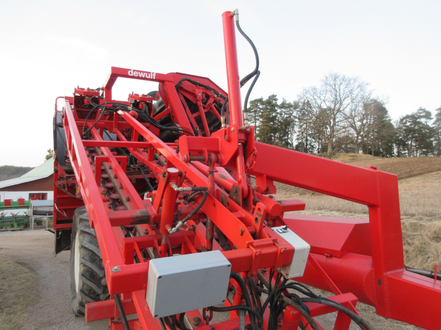 5528 Dewulf GKII carrot harvester 2 row with elevator