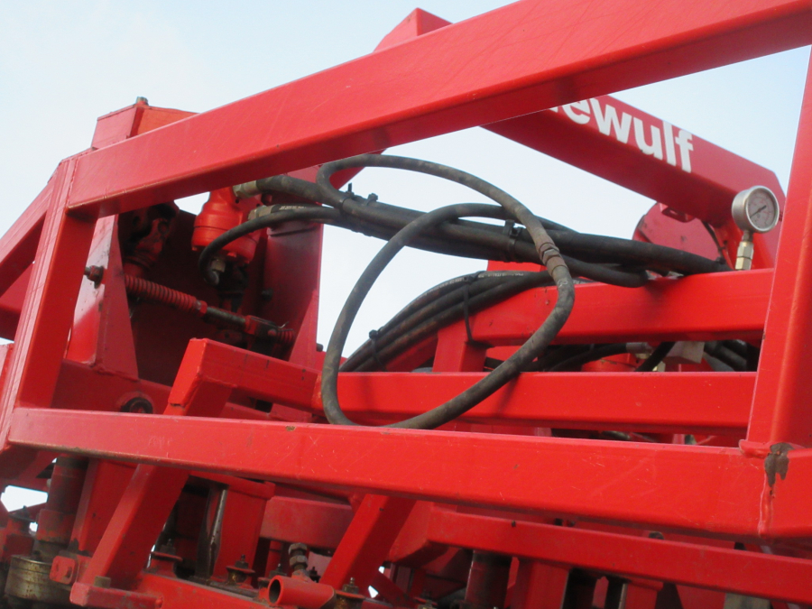 5528 Dewulf GKII carrot harvester 2 row with elevator