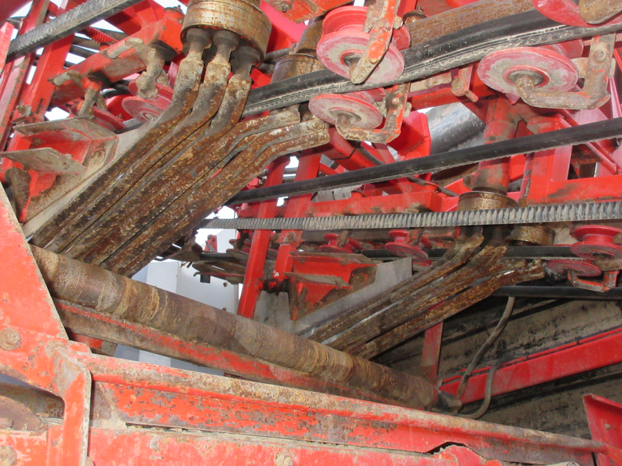 5528 Dewulf GKII carrot harvester 2 row with elevator