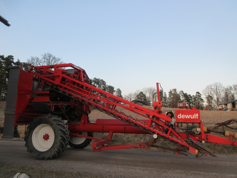5528 Dewulf GKII carrot harvester 2 row with elevator