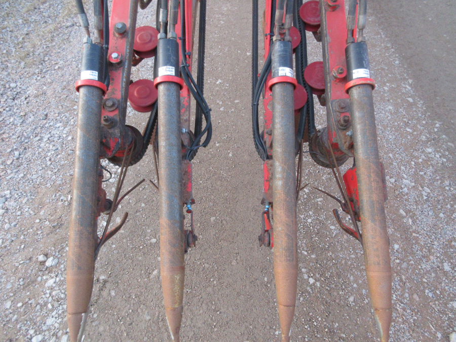 5528 Dewulf GKII carrot harvester 2 row with elevator