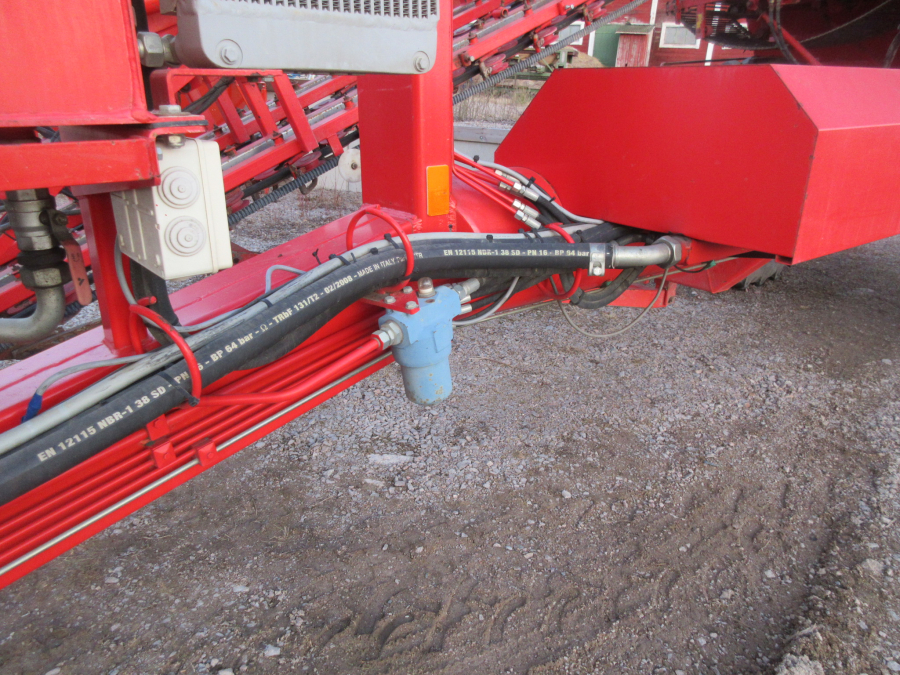 5528 Dewulf GKII carrot harvester 2 row with elevator