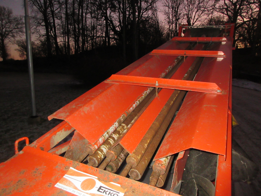 5551 EKKO diameter sorter grader for carrots