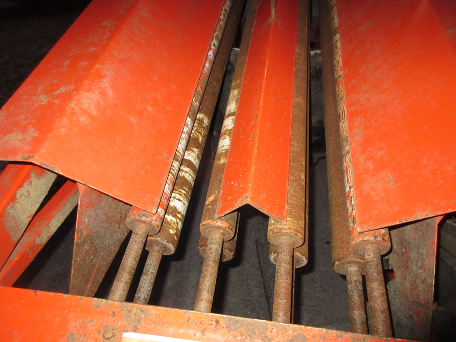 5551 EKKO diameter sorter grader for carrots