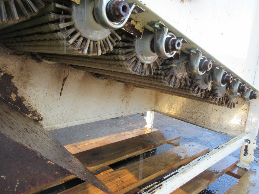 5580 Skals brusher BM608