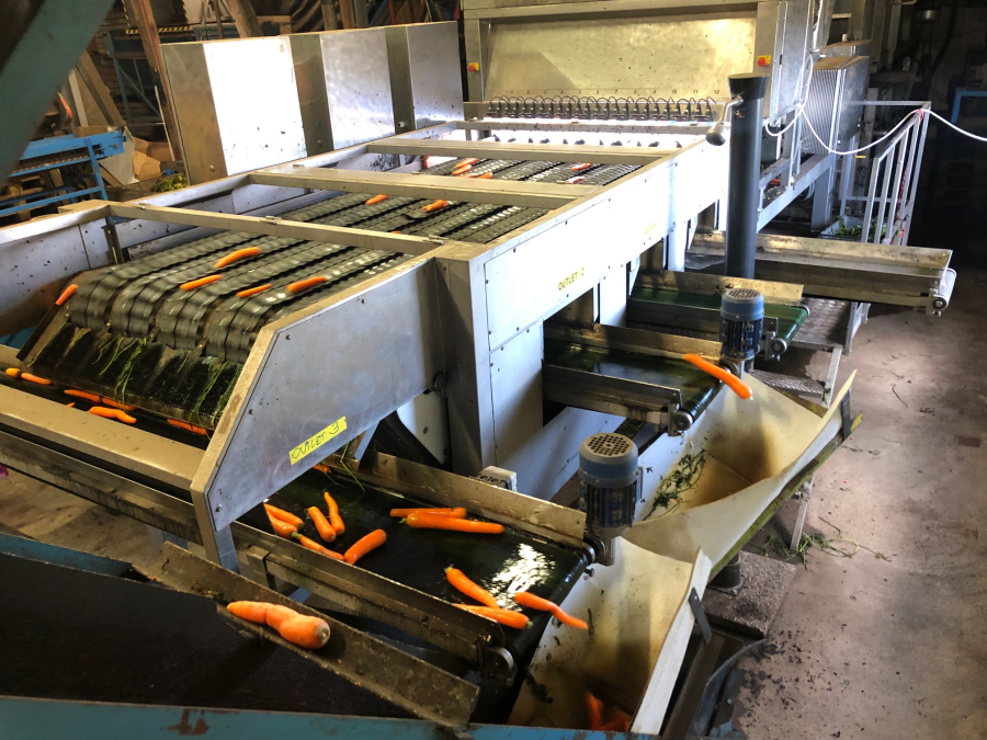 5603 NEWTEC Celox RV12 optical grader for carrots