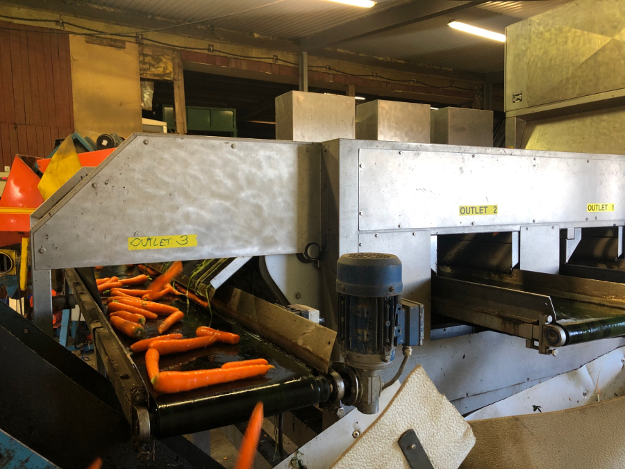 5603 NEWTEC Celox RV12 optical grader for carrots