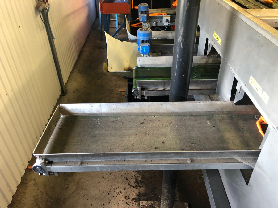 5603 NEWTEC Celox RV12 optical grader for carrots